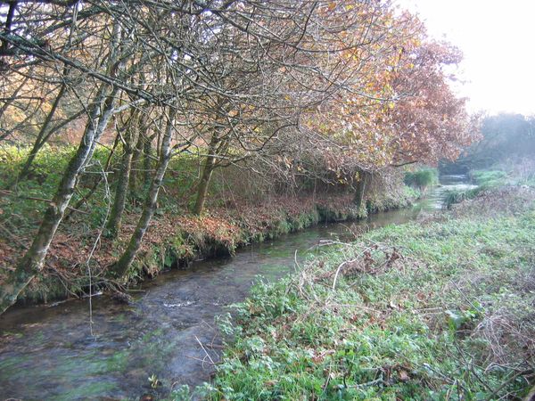 Rivière de Pont L'Abbé photo parcours